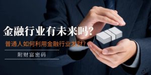 公众号付费文章：金融行业有未来吗？普通人如何利用金融行业发财?(附财富密码)-聊项目