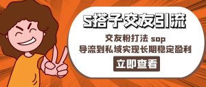 (11548期)某收费888-S搭子交友引流,交友粉打法 sop,导流到私域实现长期稳定盈利-聊项目