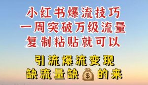 小红书爆流技巧,一周突破万级流量,复制粘贴就可以,引流爆流变现【揭秘】-聊项目