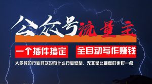 (11659期)利用AI插件2个月涨粉5.6w,一键生成,即使你不懂技术,也能轻松上手-聊项目