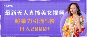 (11664期)最新无人直播美女视频,超暴力引流S粉日入2000+-聊项目