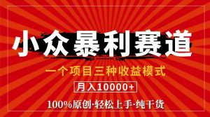 （11695期）视频号【中老年粉深信不疑】小众赛道 100%原创 手把手教学 新号3天收益…-聊项目