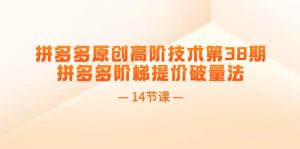 (11704期)拼多多原创高阶技术第38期,拼多多阶梯提价破量法(14节课)-聊项目