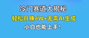 冷门赛道大揭秘,轻松月赚1W+无需AI生成,小白也能上手【揭秘】-聊项目