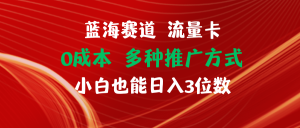 (11768期)蓝海赛道 流量卡 0成本 小白也能日入三位数-聊项目