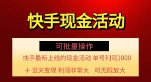 (11819期)快手新活动项目!单账号利润1000+ 非常简单【可批量】(项目介绍+项目…-聊项目
