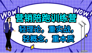 营销陪跑训练营，轻理论，重实战，轻概念，重本质，适合中小企业和初创企业的老板-聊项目