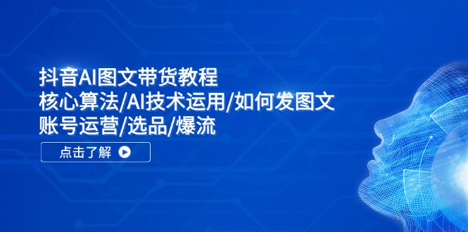 （11958期）抖音AI图文带货教程：核心算法/AI技术运用/如何发图文/账号运营/选品/爆流-聊项目
