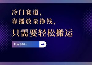 (11965期)冷门赛道,靠播放量挣钱,只需要轻松搬运,日赚300+-聊项目
