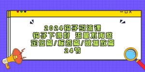 (12097期)2024钩子·引流课:钩子下得好 流量不再愁,定位篇/标签篇/破播放篇/24节-聊项目