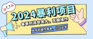 (12130期)2024暴利项目,每单利润非常大,无脑操作,纯手机操作简单,小白必学项目-聊项目