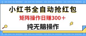 (12151期)最新小红书全自动抢红包,单号一天50+ 矩阵操作日入300+,纯无脑操作-聊项目