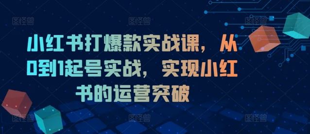 小红书打爆款实战课，从0到1起号实战，实现小红书的运营突破-聊项目