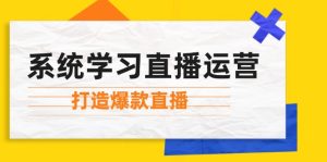 (12802期)系统学习直播运营:掌握起号方法、主播能力、小店随心推,打造爆款直播-聊项目