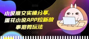 小说推文实操分享，蛋花小说APP拉新故事混剪玩法-聊项目