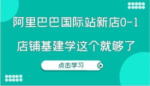 阿里巴巴国际站新店0-1,个人实践实操录制从0-1基建,店铺基建学这个就够了-聊项目