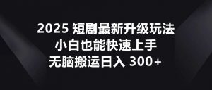 2025短剧最新升级玩法,小白也能快速上手,无脑搬运日入300+-聊项目