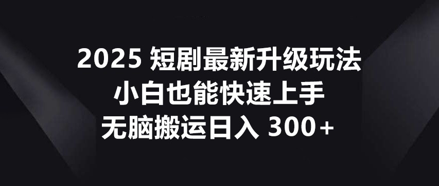 2025短剧最新升级玩法，小白也能快速上手，无脑搬运日入300+-聊项目