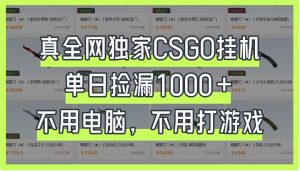 真全网独家CSGO挂机，单日捡漏1000+，不用电脑，不用养号-聊项目