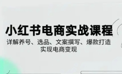 小红书从0-1实操课(2023-2025)，详解养号、选品、文案撰写、爆款打造实现电商变现-聊项目