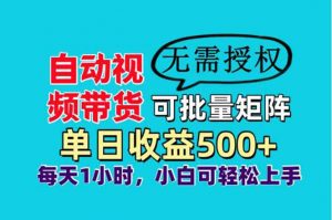 自动视频带货，可批量矩阵，单日收益500+、轻松实现睡后收益，小白可…-聊项目