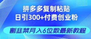拼多多复制粘贴日引300+付费创业粉，割韭菜月入6位数最新教程！-聊项目