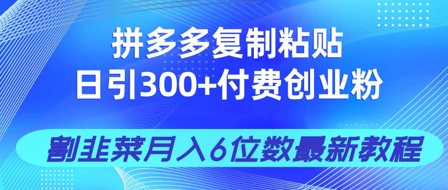 拼多多复制粘贴日引300+付费创业粉，割韭菜月入6位数最新教程！-聊项目