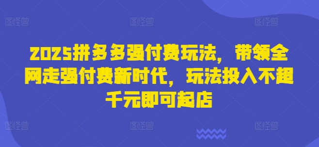 2025拼多多强付费玩法，带领全网走强付费新时代，玩法投入不超千元即可起店-聊项目