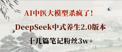 AI中医大模型杀疯了！DeepSeek中式养生2.0版本，十几篇笔记粉丝3w+-聊项目