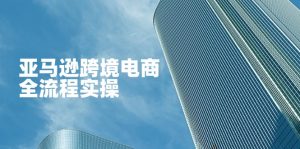 亚马逊跨境电商全流程实操，教你从零开始，掌握店铺运营与广告技巧-聊项目