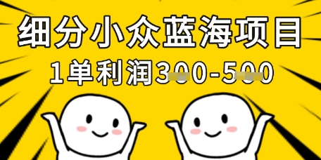 细分小众蓝海项目，一单利润3张，每月收入稳定过1w+-聊项目