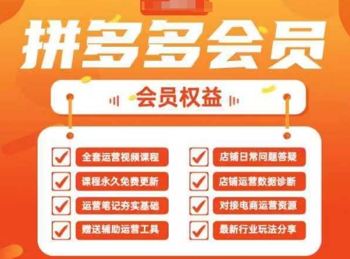 2025拼多多运营实战课，40节全流程教学，覆盖拼多多运营全链路-聊项目