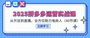 2025拼多多运营实战课，从开店到直播，全方位助力电商人(40节课-聊项目