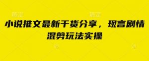 小说推文最新干货分享，现言剧情混剪玩法实操-聊项目