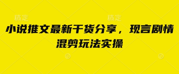 小说推文最新干货分享，现言剧情混剪玩法实操-聊项目