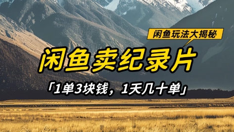 闲鱼卖纪录片1单3块钱，1天几十单，项目稳定有潜力-聊项目