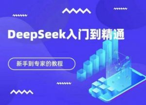 DeepSeek快速从入门到精通,新手的保姆级教程-聊项目