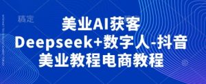 美业AI获客Deepseek+数字人-抖音美业教程电商教程-聊项目