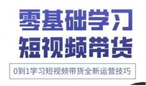 快手运营+高阶剪辑实战课,0到1学习短视频带货全新运营技巧-聊项目