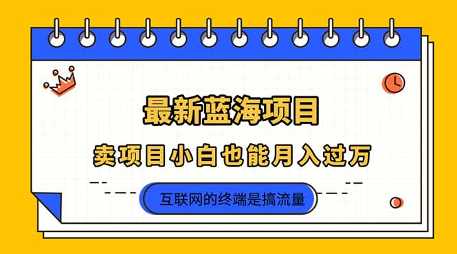 2025年最新蓝海项目，卖项目小白也能月入过万-聊项目