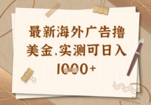 最新海外广告联盟挂机撸美金项目，实测可日入多张【揭秘】-聊项目