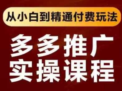 拼多多推广实操课程，从小白到精通付费玩法-聊项目