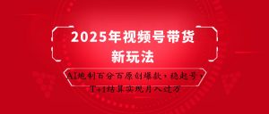 2025年视频号带货新玩法：AI炮制百分百原创爆款，稳起号，T+1结算实现月入过万-聊项目