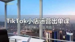 TikTok小店运营出单课,从开店选品、运营出单、发货回款,进行全流程讲解-聊项目