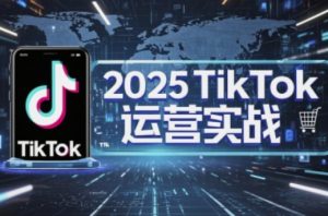 2025TikTok电商运营，掌握TikTok店铺运营核心技巧，实现低成本高转化-聊项目
