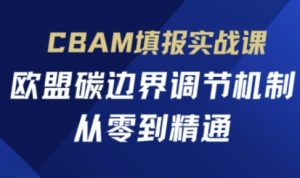 CBAM填报实战课，欧盟碳边界调节机制，从零到精通-聊项目