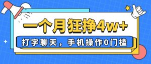 一个月狂挣4w+,打字聊天,手机操作0门槛,新手小白都能做!-聊项目