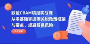 欧盟CBAM填报实战课，从零基础掌握碳关税政策框架与要点，规避贸易风险-聊项目