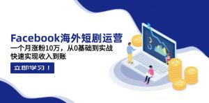 Facebook海外短剧运营：一个月涨粉10万，从0基础到实战，快速实现收入到账-聊项目