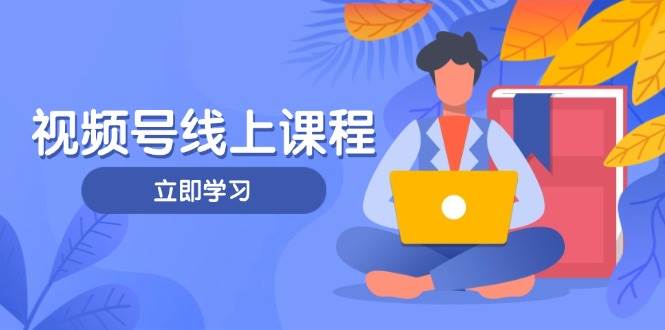 视频号实战课程，轻IP打造与运营技巧，掌握核心方法与策略-聊项目